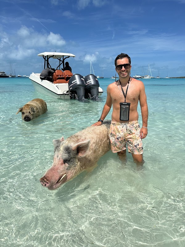 Swimming with the Famous Pigs of Exuma - Pig Beach