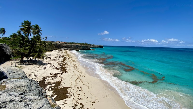 Scenic Shores of Bottom Bay - Bottom Bay