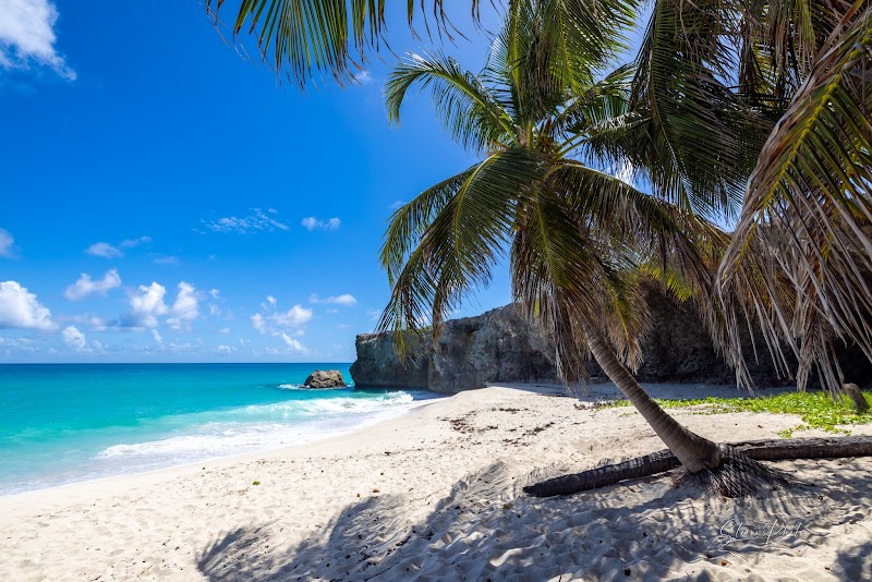Scenic Shores of Bottom Bay - Bottom Bay