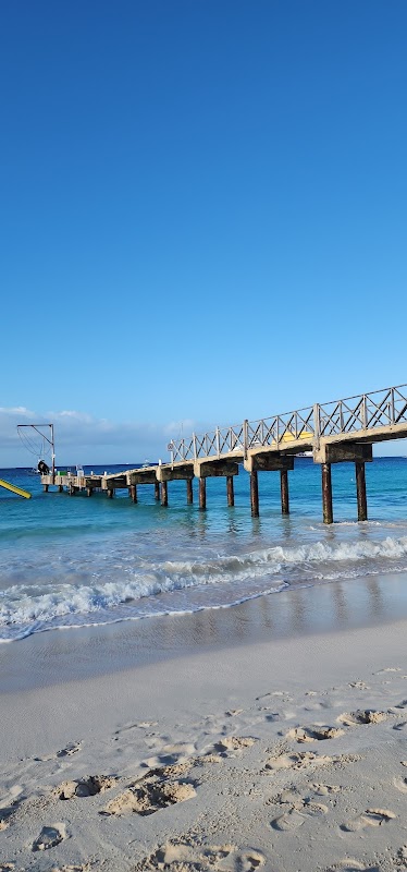 Sun-Kissed Shores: Brownes Beach in Barbados - Brownes Beach