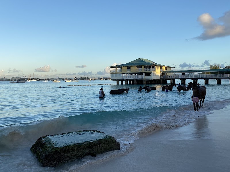 Sun-Kissed Serenity: Pebbles Beach, Bridgetown - Pebbles Beach