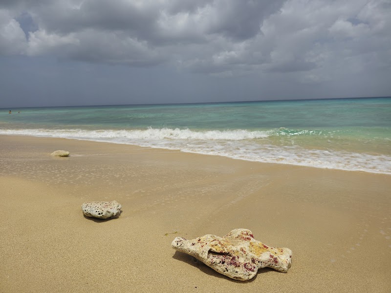 Sun-Soaked Serenity at Fitts Village Beach - Fitts Village Beach