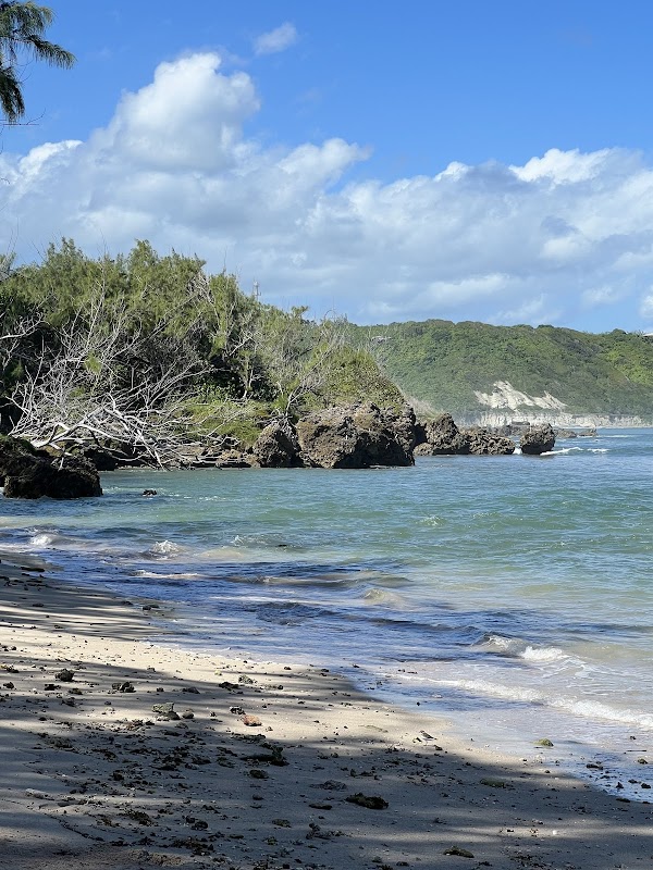 Sunny Shores of Bath Beach - Bath Beach
