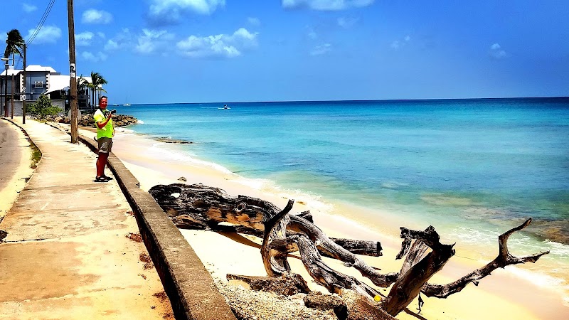 Thumbnail 9