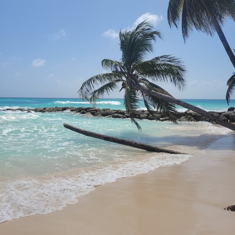 Paradise Found: Maxwell Beach, Barbados - Maxwell Beach