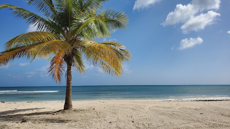 Sunny Shores of Dover Beach, Christ Church - Dover Beach