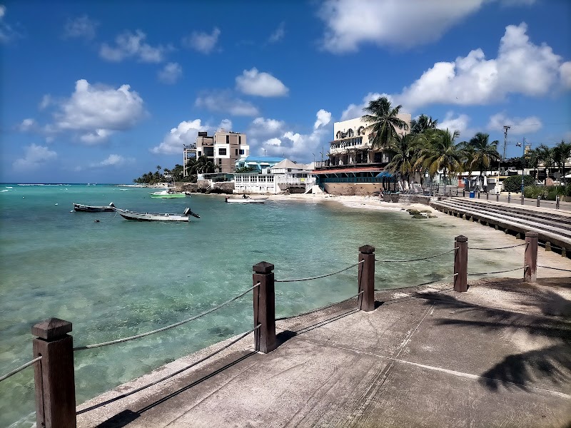 Sunny Shores of Dover Beach, Christ Church - Dover Beach