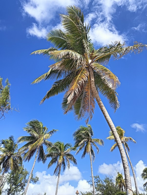 Sun-Kissed Shores of Silver Sands Beach - Silver Sands Beach