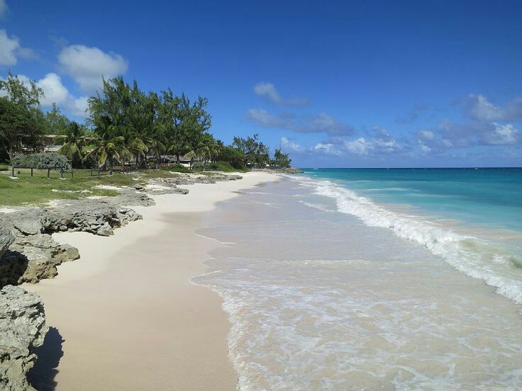 Sun-Kissed Shores of Silver Sands Beach - Silver Sands Beach