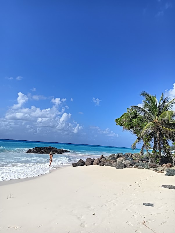 Peaceful Paradise: Welches Beach, Barbados - Welches Beach