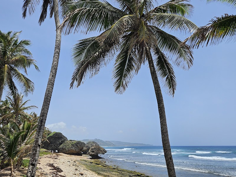 Sandy Shores & Azure Waters: Holetown Beach - Holetown Beach