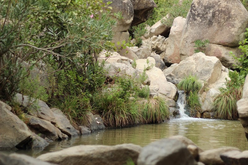 Discover the Beauty of Marsa Zitoun Beach - Marsa zitoun beach