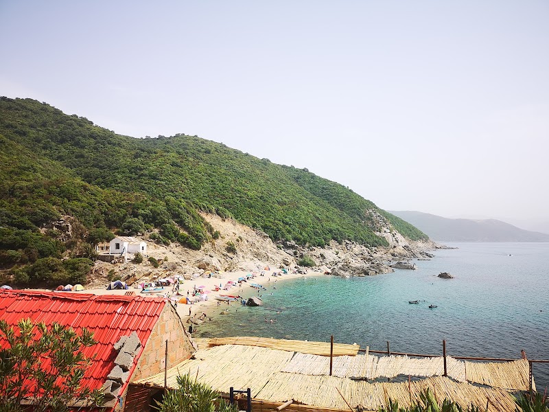 Discover the Beauty of Marsa Zitoun Beach - Marsa zitoun beach