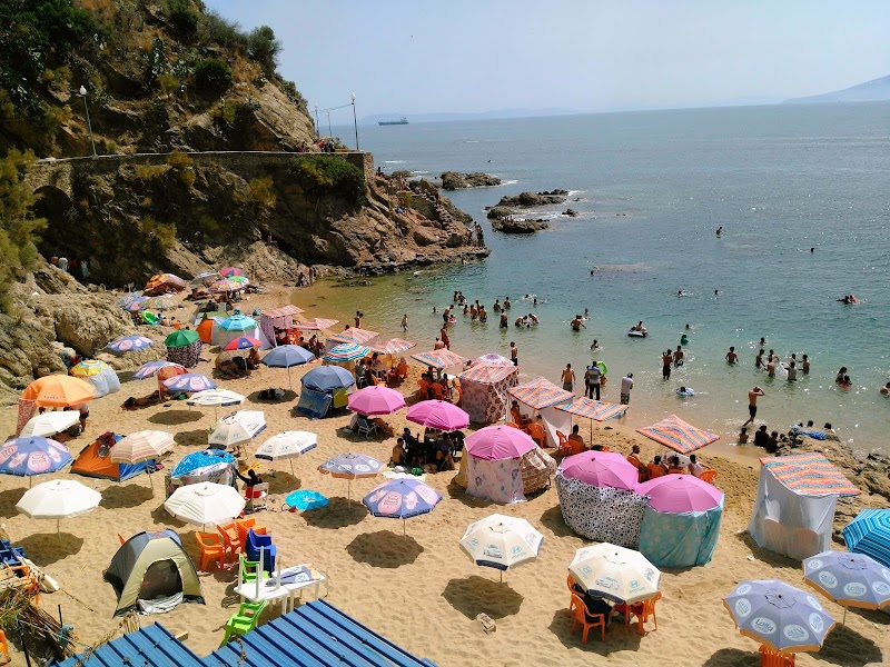 Coastal Wonders at Plage Miramar - Plage Miramar