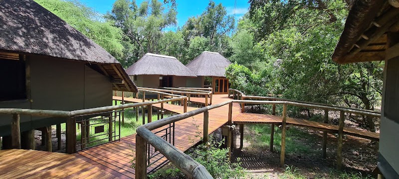 Safari Adventure at Camp Moremi - Camp Moremi