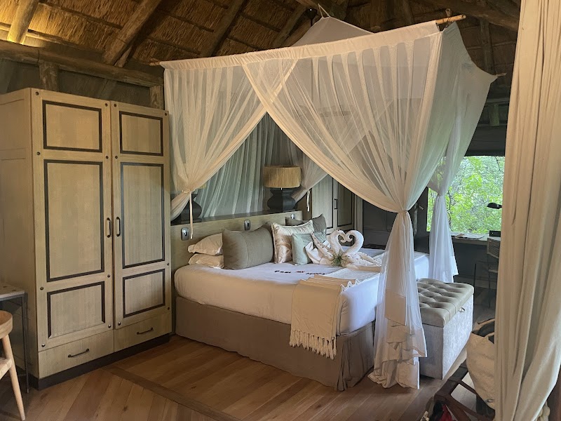 Safari Adventure at Camp Moremi - Camp Moremi