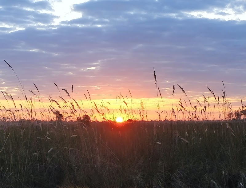 Wildlife Wonders at Xakanaxa Campsites - Xakanaxa Campsites