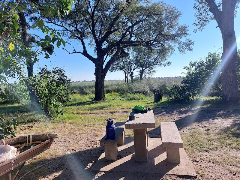 Wildlife Wonders at Xakanaxa Campsites - Xakanaxa Campsites