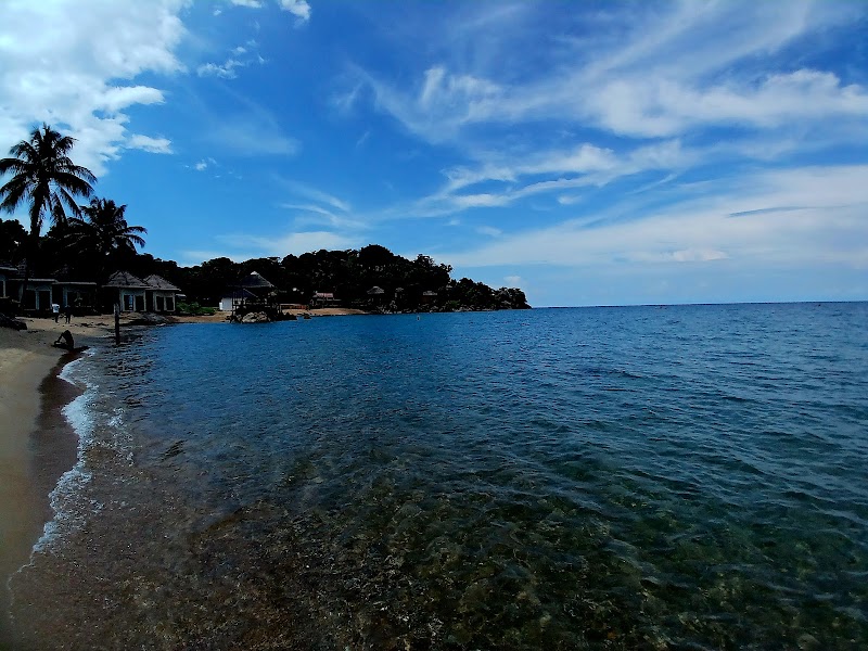 Sun-Kissed Shores of Chikale Beach - Chikale beach