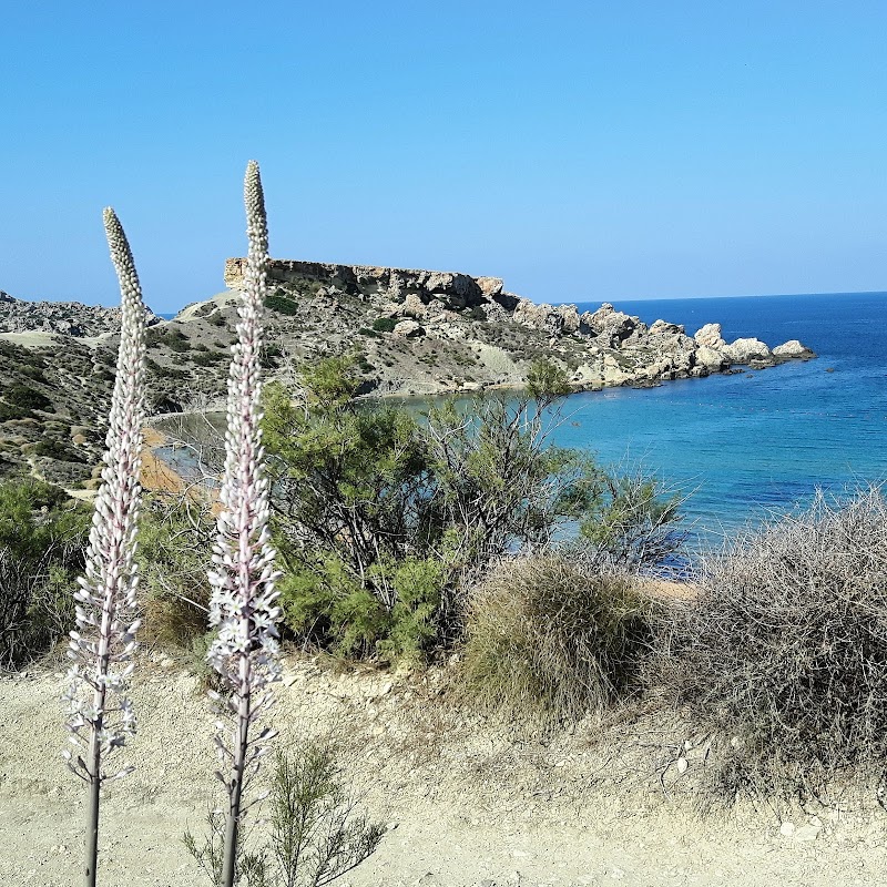 Discover the Serenity of Għajn Tuffieħa - Għajn Tuffieħa