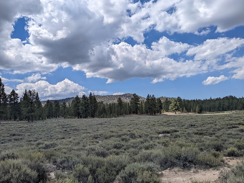 Discover the Natural Splendors of Holcomb Valley Pinnacles - Holcomb Valley Pinnacles