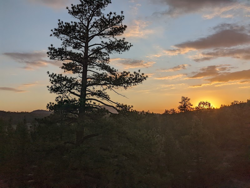 Discover the Natural Splendors of Holcomb Valley Pinnacles - Holcomb Valley Pinnacles
