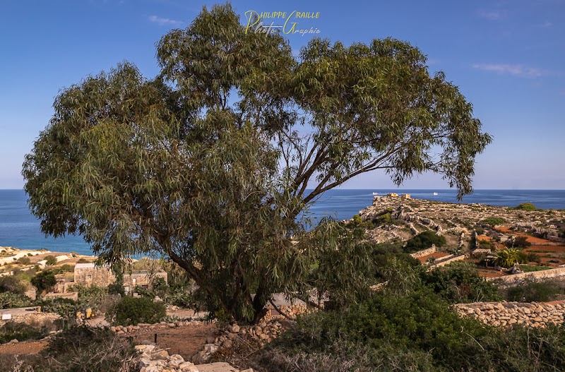 Serenity at Imġiebaħ Beach surrounding landscape