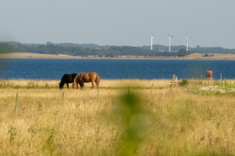 Tranquil Tapestry: The Charm of Strynø - Strynø