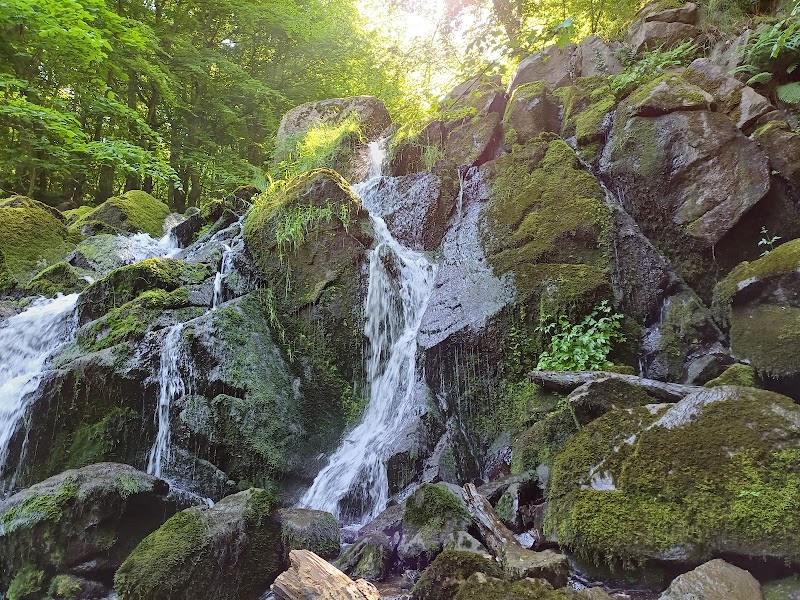 Døndalen Forest adventures