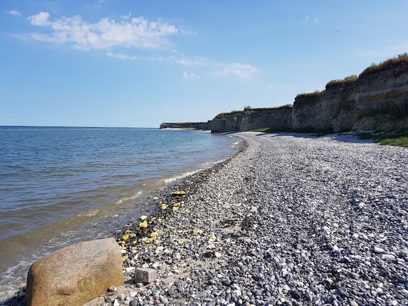 A Coastal Wonder: Karlby & Sangstrup Cliff - Karlby & Sangstrup Cliff