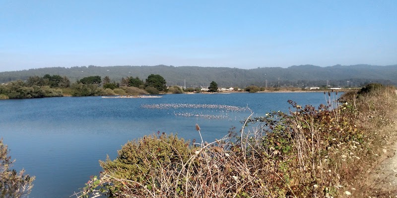 Klopp Lake: A Tranquil Haven in Arcata - Klopp Lake