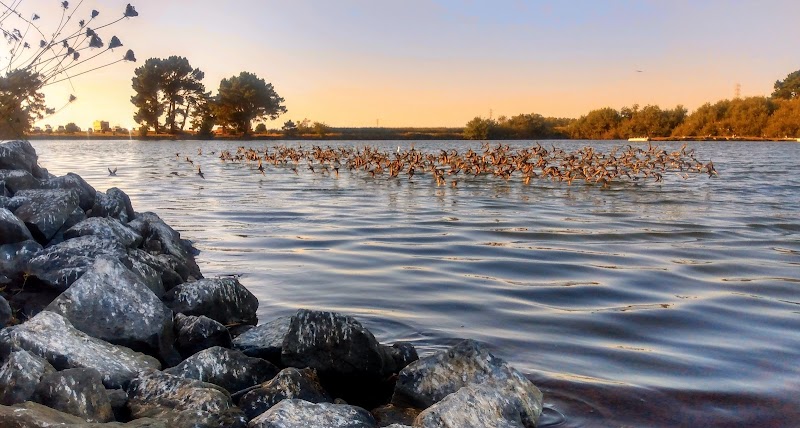Klopp Lake: A Tranquil Haven in Arcata - Klopp Lake
