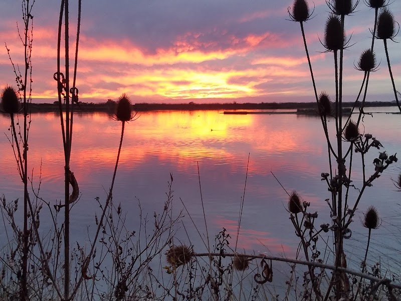 Klopp Lake: A Tranquil Haven in Arcata - Klopp Lake