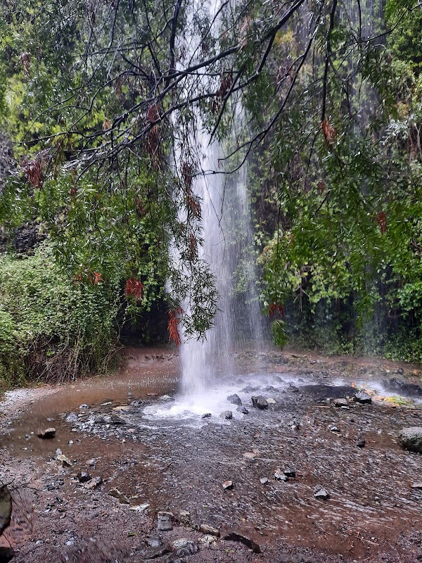 Cave Wonders: Cave of the Pincheira - Cave of the Pincheira
