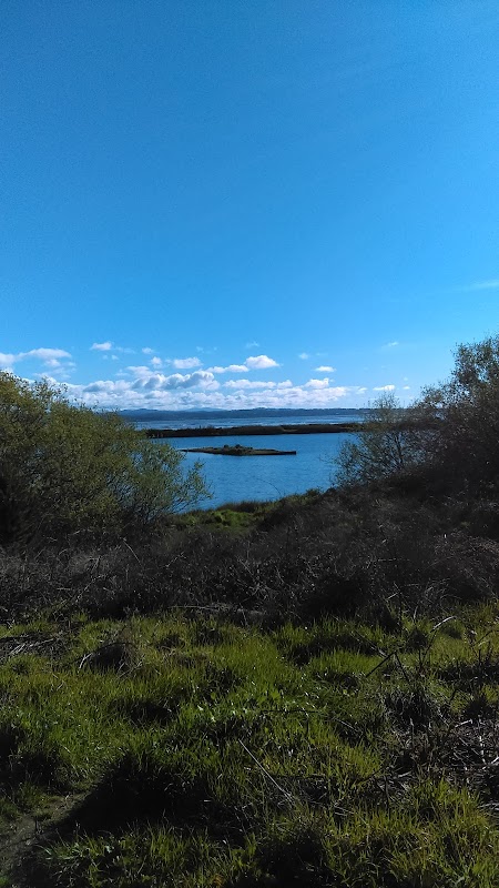 Cycling through Natural Marvels: Arcata To Eureka Bike Trail - Arcata To Eureka Bike Trail (Northern End)