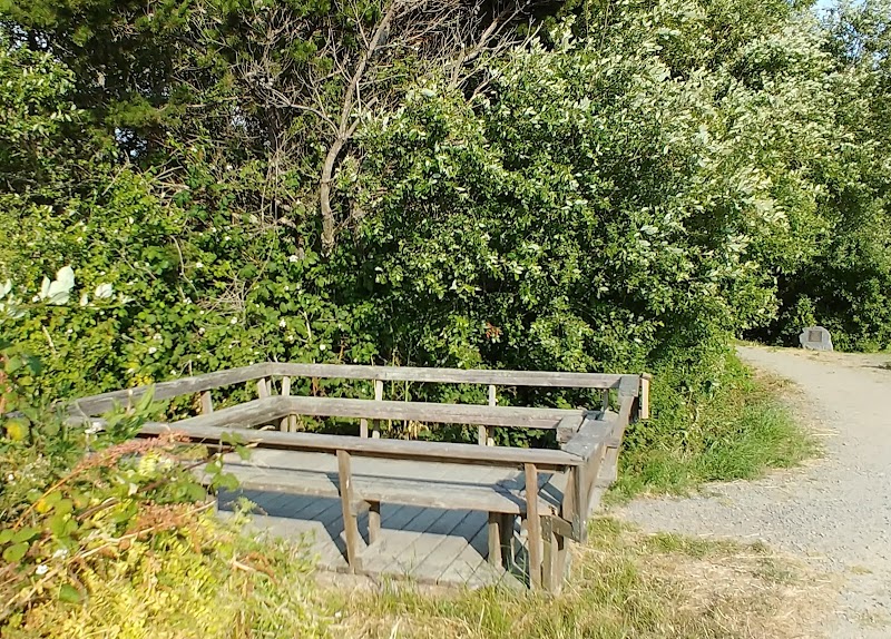 Cycling through Natural Marvels: Arcata To Eureka Bike Trail - Arcata To Eureka Bike Trail (Northern End)