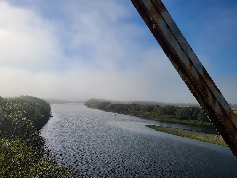 Coastal Marvels of Hammond Coastal Trail - Hammond Coastal Trail
