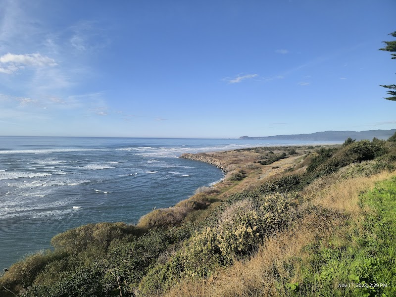 Coastal Marvels of Hammond Coastal Trail - Hammond Coastal Trail