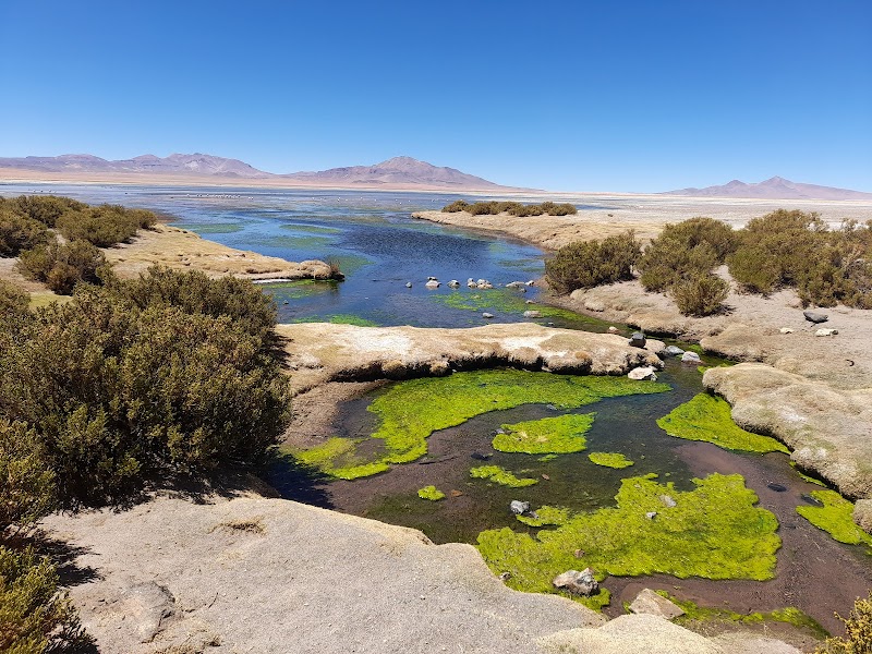Spectacular Salar de Tara: A Natural Wonder in Atacama - Salar de Tara