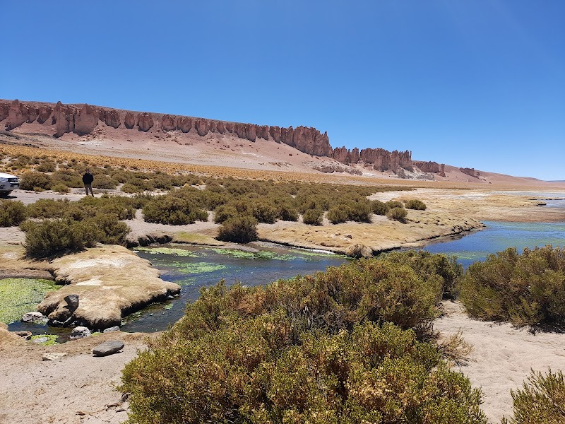 Spectacular Salar de Tara: A Natural Wonder in Atacama - Salar de Tara