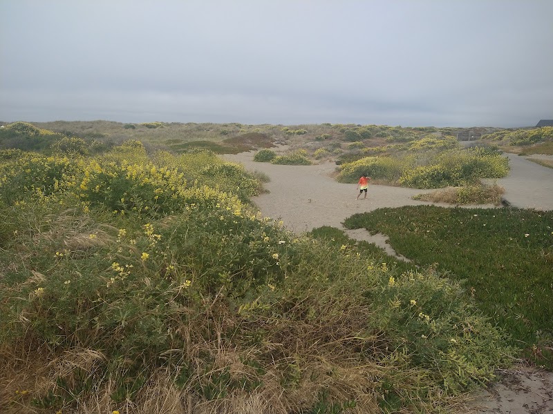 Samoa Beach: Coastal Serenity in Humboldt County surrounding landscape