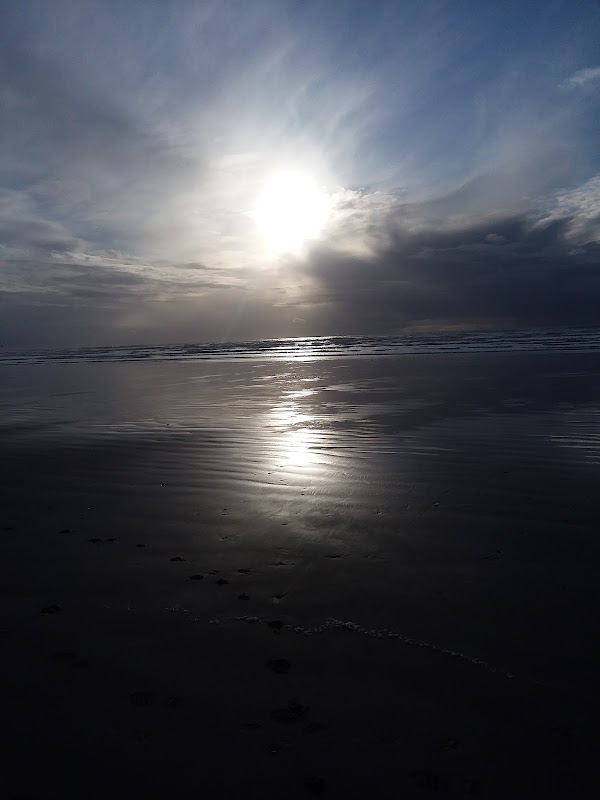 Coastal Serenity at Clam Beach surrounding landscape