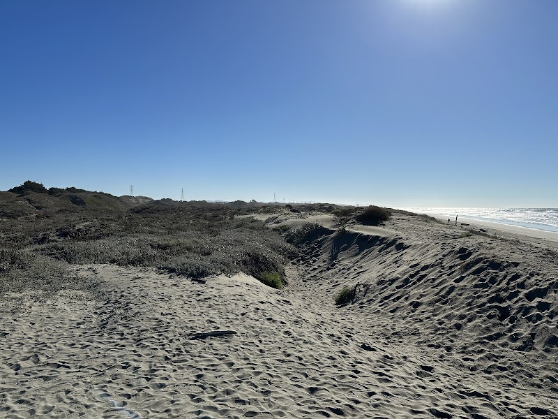 Discover Humboldt's Coastal Gem - Humboldt Coastal Nature Center