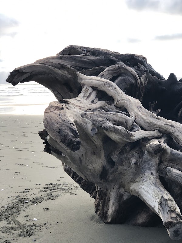 Discover Humboldt's Coastal Gem outdoor detail