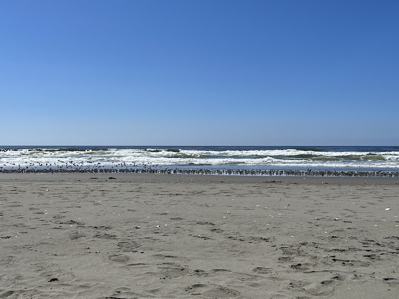 Discover Humboldt's Coastal Gem - Humboldt Coastal Nature Center