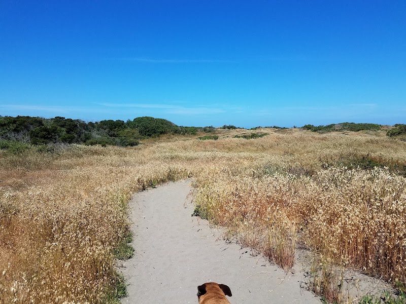 Discover Humboldt's Coastal Gem - Humboldt Coastal Nature Center