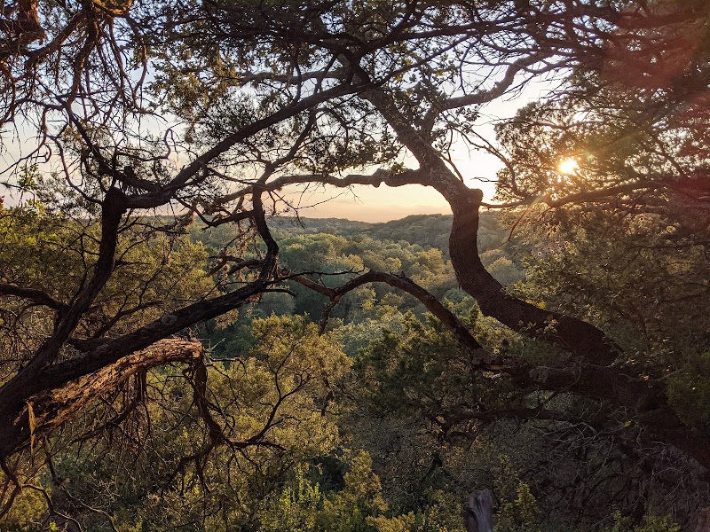 Purgatory Creek Natural Area: A Texan Haven for Outdoor Enthusiasts - Purgatory Creek Natural Area