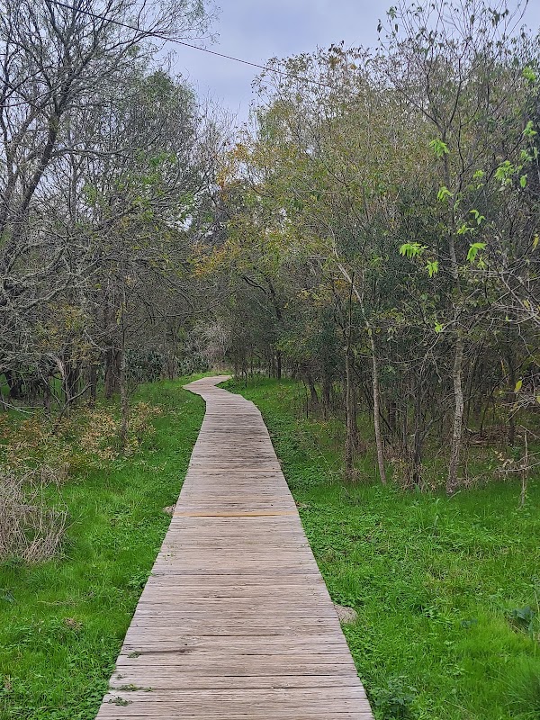 A Scenic Escape: Ringtail Ridge Natural Area - Ringtail Ridge Natural Area