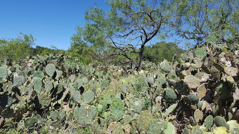 A Scenic Escape: Ringtail Ridge Natural Area - Ringtail Ridge Natural Area