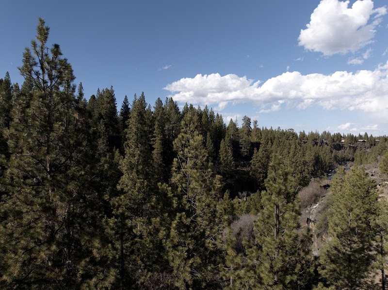 River Adventures in Bend's Canyon Oasis surrounding landscape